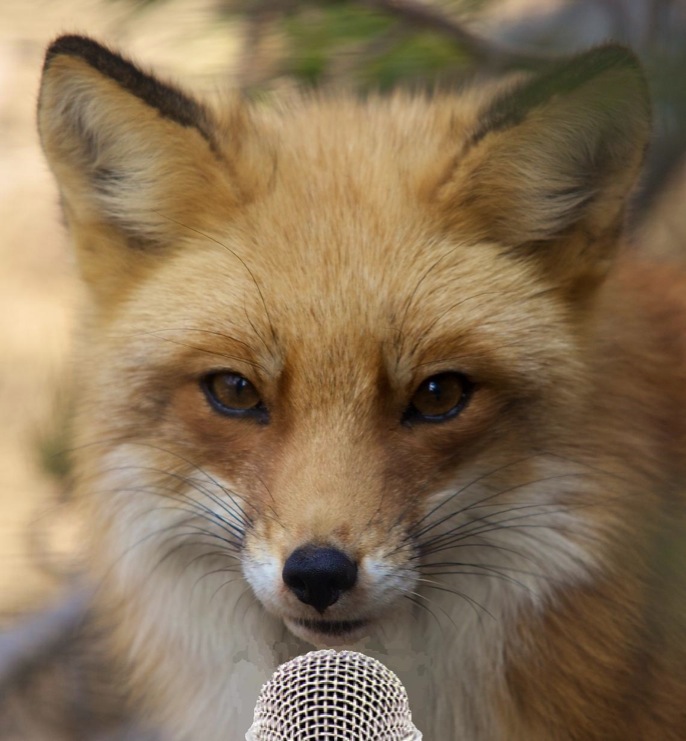 Fox Reporter